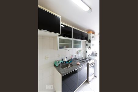 Cozinha de apartamento para alugar com 2 quartos, 50m² em Jardim Ampliação, São Paulo