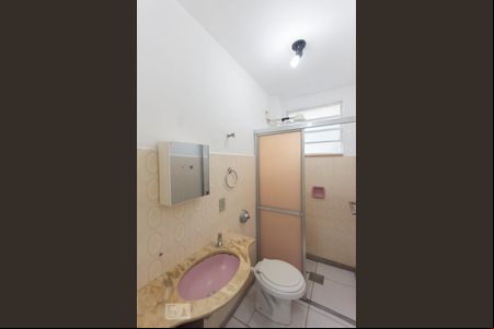 Banheiro de apartamento para alugar com 2 quartos, 55m² em Fundação da Casa Popular, Campinas