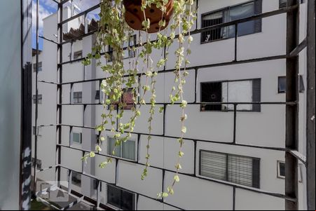 Sala de apartamento para alugar com 2 quartos, 60m² em Setor União, Goiânia