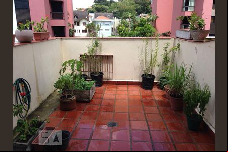 quintal de casa para alugar com 3 quartos, 210m² em Jardim Colombo, São Paulo