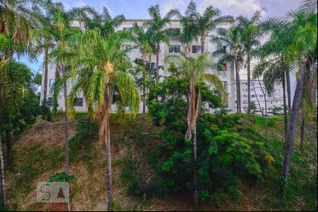 Vista de apartamento à venda com 2 quartos, 100m² em Santa Amelia, Belo Horizonte