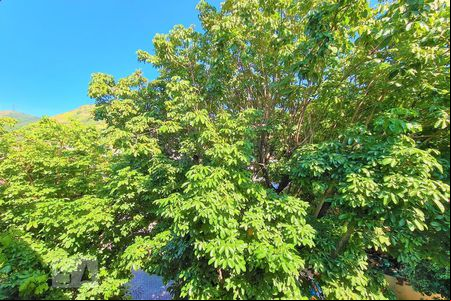 Vista de apartamento para alugar com 2 quartos, 75m² em Piedade, Rio de Janeiro