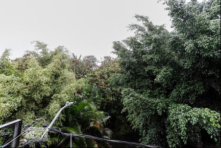 Vista de apartamento para alugar com 1 quarto, 30m² em Vila Nova Mazzei, São Paulo