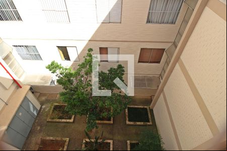 Vista do Quarto 1 de apartamento à venda com 2 quartos, 52m² em Jardim Amazonas, Campinas