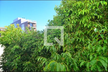 Vista Sala de apartamento para alugar com 2 quartos, 54m² em Nossa Senhora das Gracas, Canoas