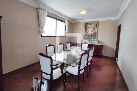 Sala de Jantar 1 de apartamento para alugar com 4 quartos, 256m² em Jardim Paraíso, Campinas