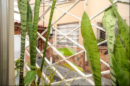 Vista Quarto 1 de apartamento para alugar com 3 quartos, 45m² em Todos Os Santos, Rio de Janeiro