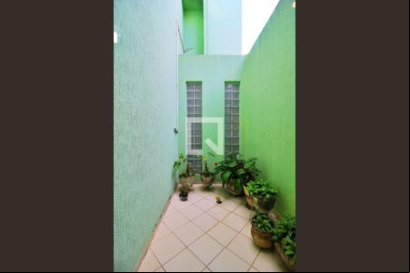 Jardim de Inverno de casa à venda com 3 quartos, 196m² em Vila Alto de Santo Andre, Santo André