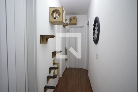Corredor -Quartos de apartamento à venda com 2 quartos, 68m² em Parque Santa Fé, Porto Alegre