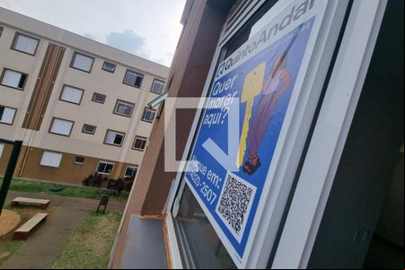 Cozinha - Lavanderia de apartamento para alugar com 2 quartos, 50m² em Ipiranga, Ribeirão Preto
