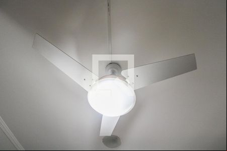 Sala/Quarto de apartamento para alugar com 1 quarto, 35m² em Bosque, Campinas