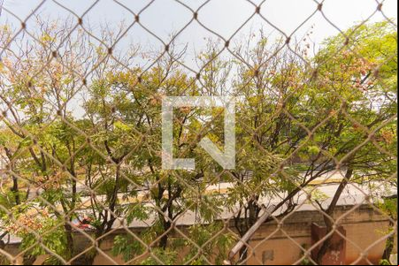 Vista da Sala de apartamento à venda com 3 quartos, 84m² em Vila Mimosa, Campinas