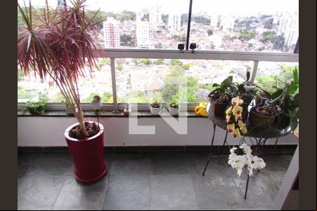 Varanda da Sala de apartamento para alugar com 4 quartos, 155m² em Jardim Londrina, São Paulo