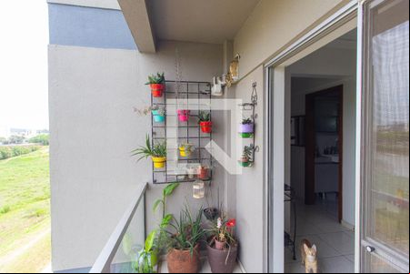Varanda da Sala de apartamento à venda com 3 quartos, 89m² em Rio dos Sinos, São Leopoldo