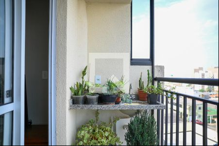 Varanda de apartamento à venda com 2 quartos, 53m² em São João Clímaco, São Paulo