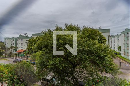 Sala de apartamento para alugar com 2 quartos, 63m² em Morro Santana, Porto Alegre