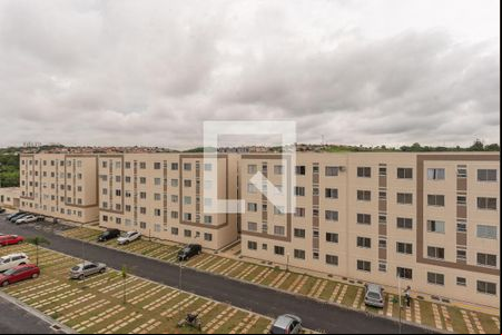 Vista do Quarto 1 de apartamento à venda com 2 quartos, 48m² em Jardim Esmeraldina, Campinas