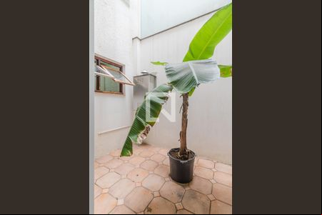 Poço de luz de casa à venda com 3 quartos, 240m² em Vila Assunção, Porto Alegre