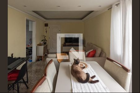 Sala de apartamento à venda com 2 quartos, 55m² em Jardim Iris, São Paulo