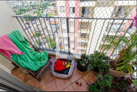 Varanda de apartamento para alugar com 2 quartos, 62m² em Jaguará, São Paulo