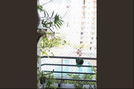 Varanda - Sala de apartamento à venda com 2 quartos, 50m² em Macedo, Guarulhos