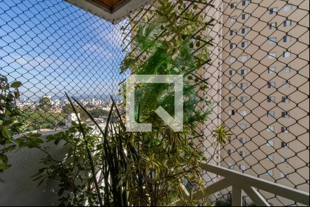 Sacada de apartamento para alugar com 3 quartos, 74m² em Gopouva, Guarulhos