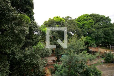 Vista da Sala de apartamento à venda com 2 quartos, 50m² em Cinquentenario, Belo Horizonte