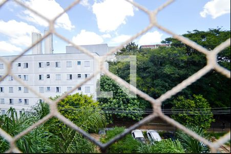 Vista - Quarto 1 de apartamento para alugar com 2 quartos, 47m² em Jardim Ansalca, Guarulhos