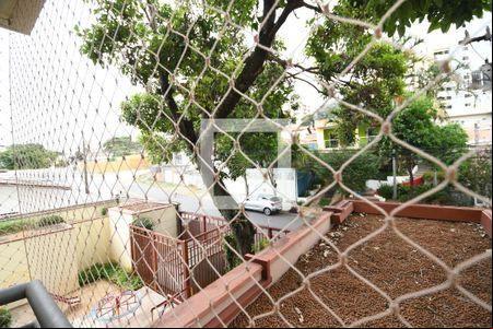 Sala - Sacada Vista de apartamento para alugar com 3 quartos, 80m² em Jardim Proença, Campinas