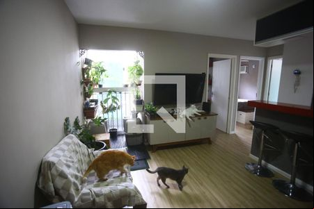 Sala de apartamento à venda com 2 quartos, 50m² em Vila Oeste, Belo Horizonte