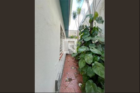 Casa à venda com 3 quartos, 187m² em Canindé, São Paulo