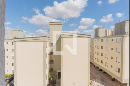 Vista do Quarto 1 de apartamento para alugar com 3 quartos, 66m² em Vila Satúrnia, Campinas