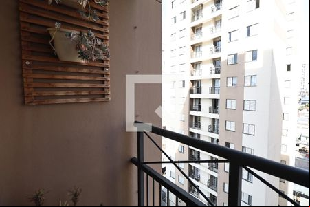 Sacada de apartamento para alugar com 3 quartos, 65m² em Jardim Cambui, Santo André