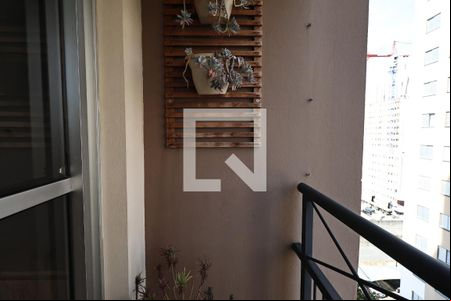 Sacada de apartamento para alugar com 3 quartos, 65m² em Jardim Cambui, Santo André