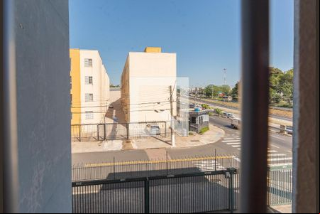 Vista da Sala de apartamento para alugar com 2 quartos, 60m² em Jardim Pauliceia, Campinas