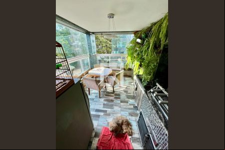 Varanda da Sala de apartamento para alugar com 4 quartos, 140m² em Dona Clara, Belo Horizonte