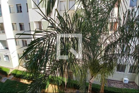 Vista da sala de apartamento para alugar com 2 quartos, 40m² em Jardim Nova Europa, Campinas